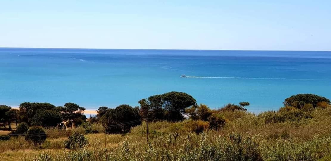 מרינלה דו סלינונטה Il Canneto Di Selinunte מראה חיצוני תמונה