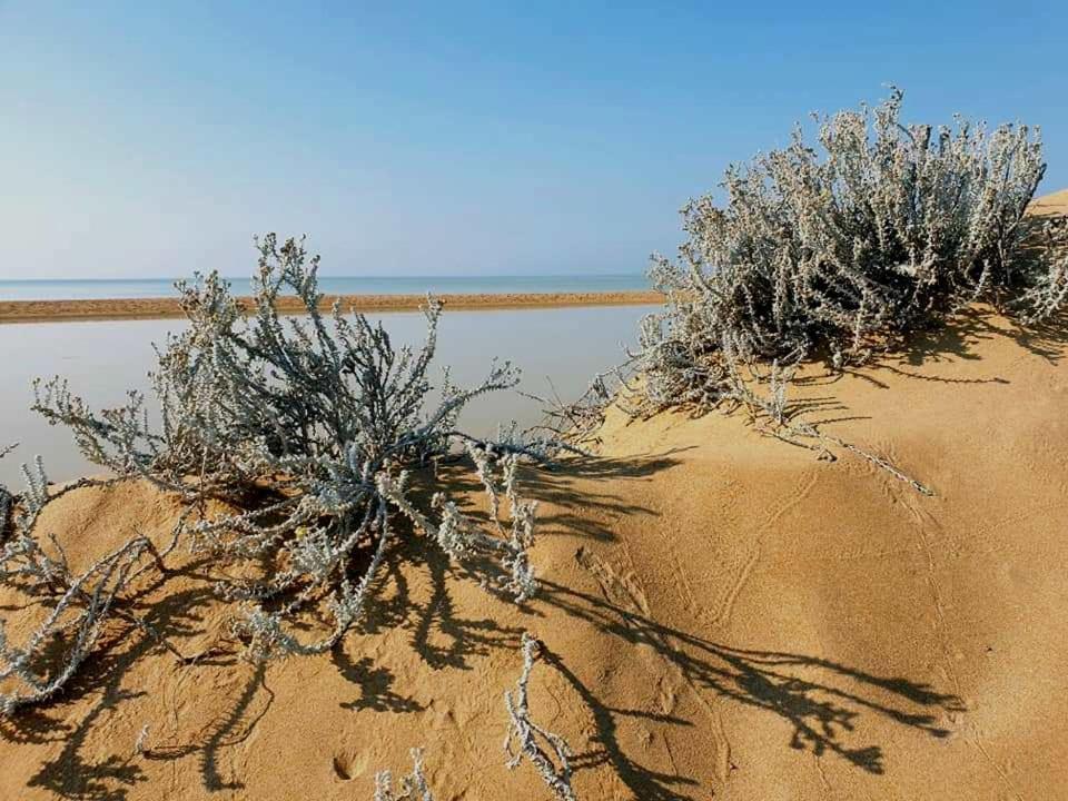 מרינלה דו סלינונטה Il Canneto Di Selinunte מראה חיצוני תמונה