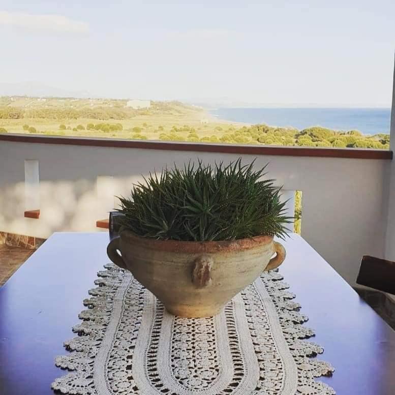 מרינלה דו סלינונטה Il Canneto Di Selinunte מראה חיצוני תמונה