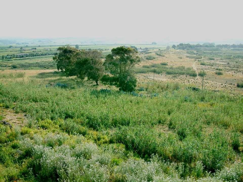 מרינלה דו סלינונטה Il Canneto Di Selinunte מראה חיצוני תמונה